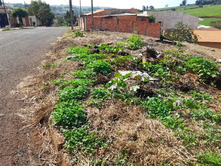 Terreno, 391 m² - Foto 8