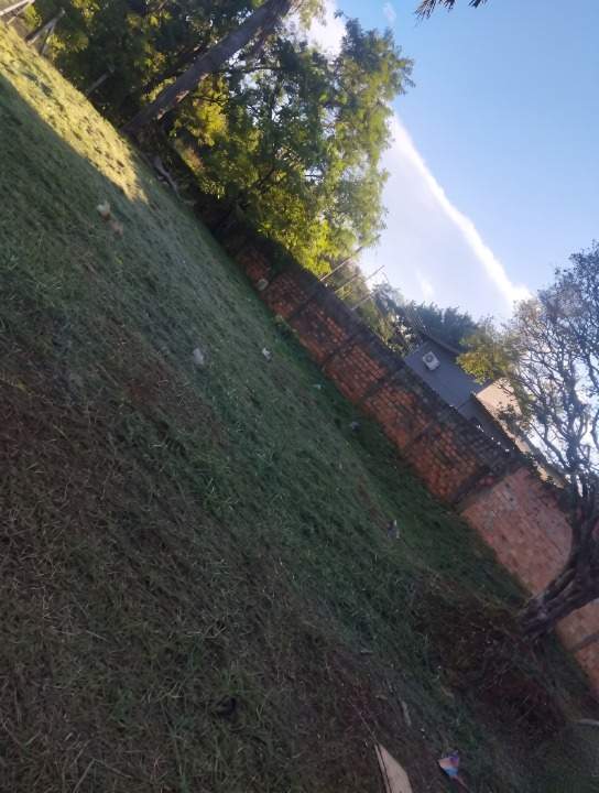 Terreno, 440 m² - Foto 9