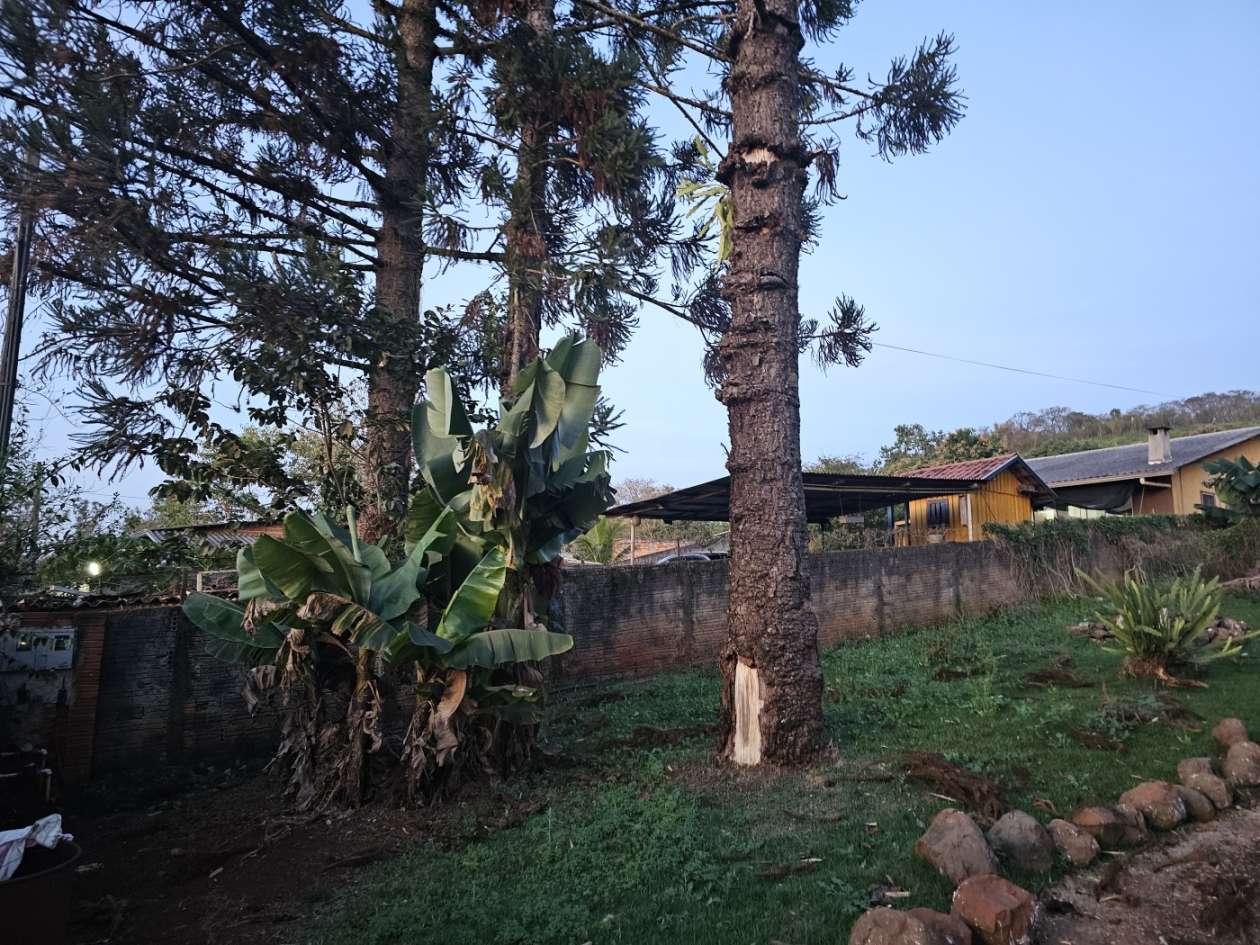 Fazenda, 65 m² - Foto 13
