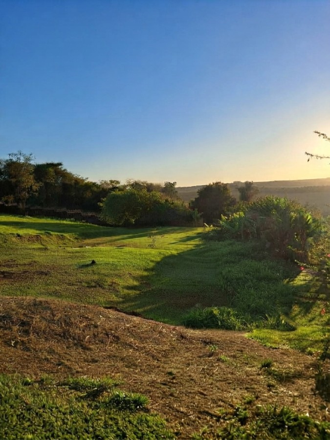 Terreno, 1500 m² - Foto 4